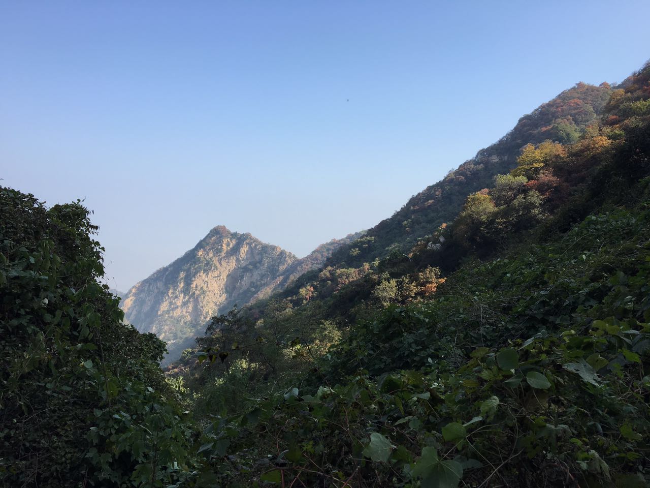 900724111432338973.jpg