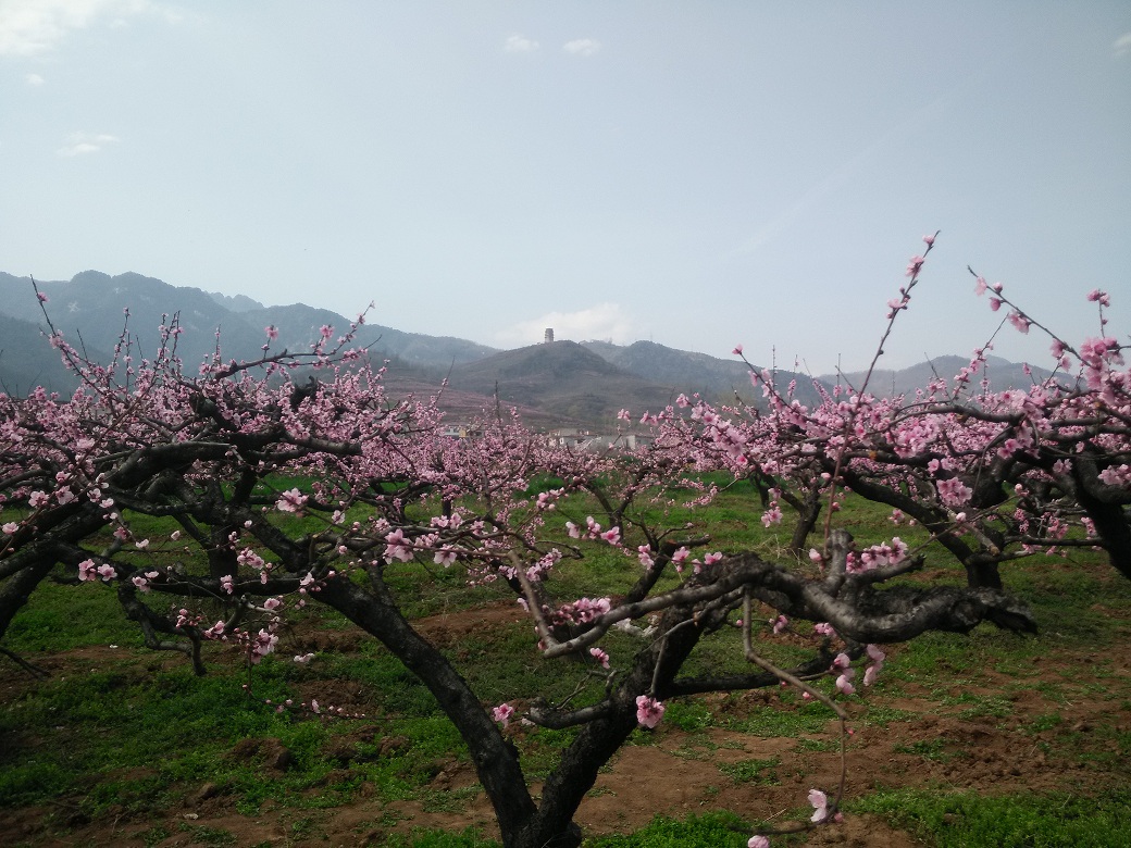 1491566683298025.jpg IMG20170402101027 - 副本.jpg
