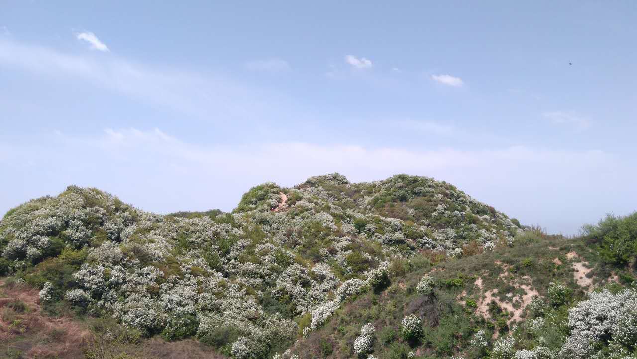 1493004403277659.jpg webwxgetmsgimg (13).jpg