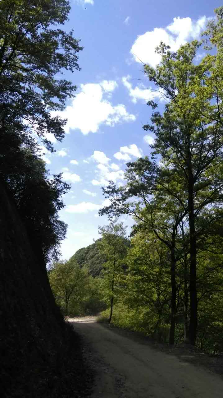 1493005272317832.jpg webwxgetmsgimg (15).jpg