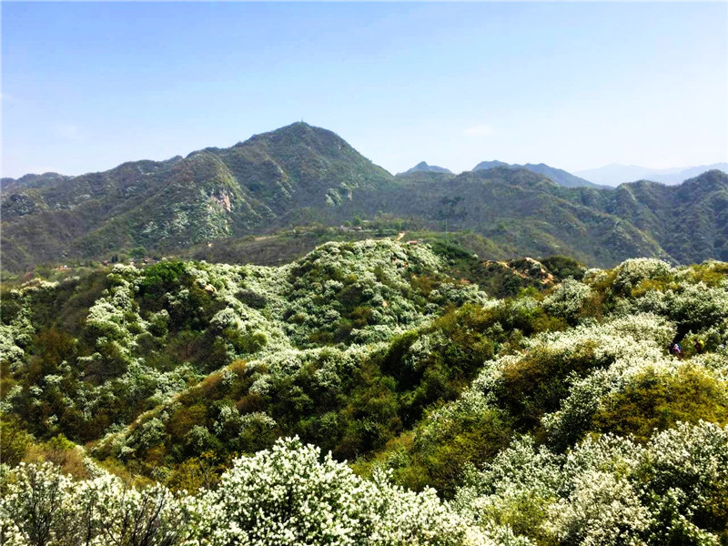 1493103480484088.jpg 微信图片_20170425134814.jpg