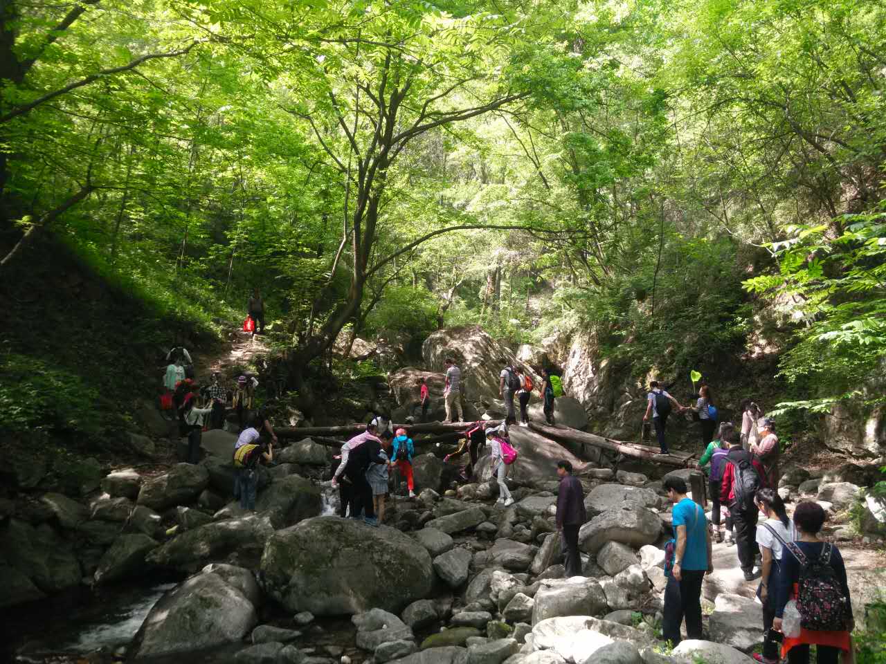 微信图片_20170502202241.jpg