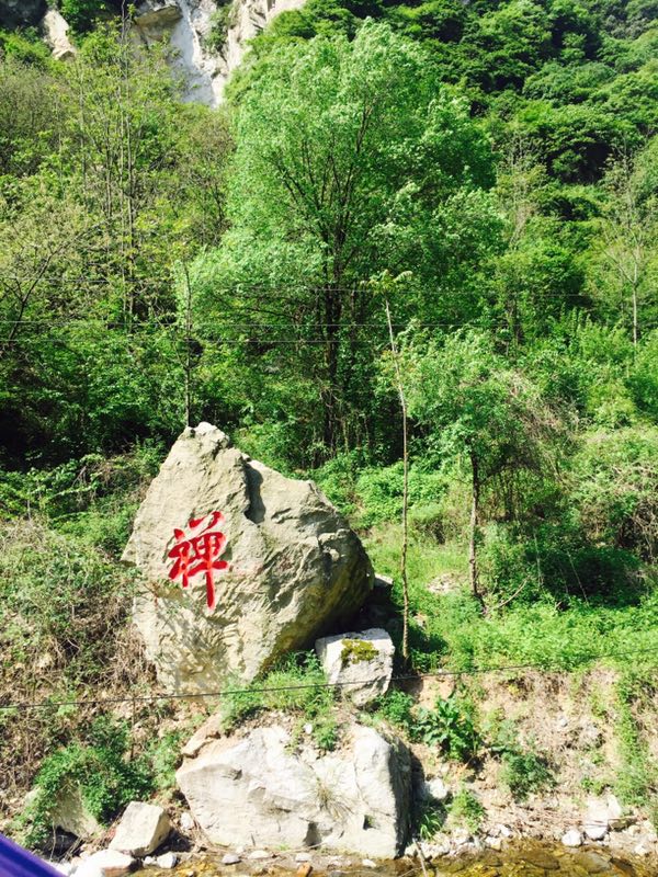 微信图片_20170502201940.jpg
