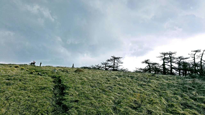 1494817945775407.jpg