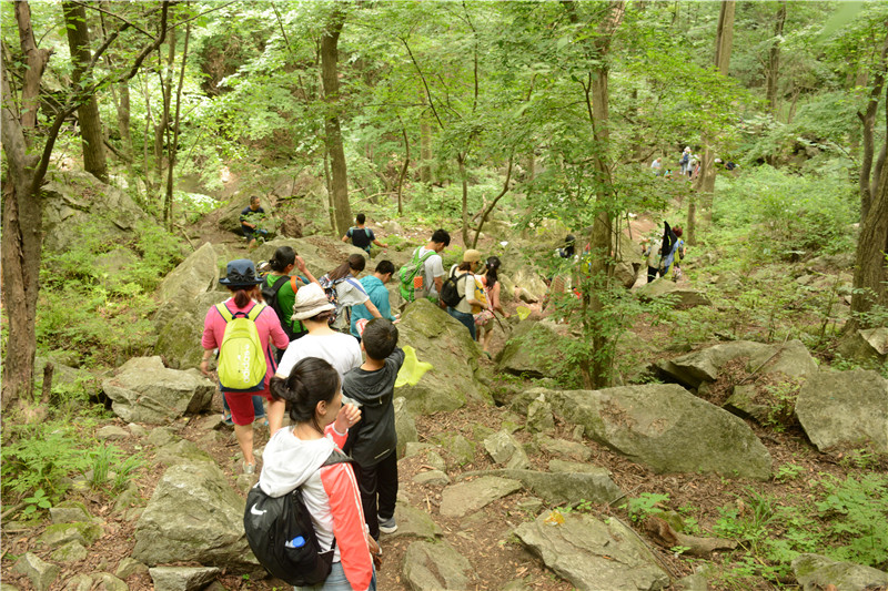 1496373358183275.jpg DSC_4649.JPG
