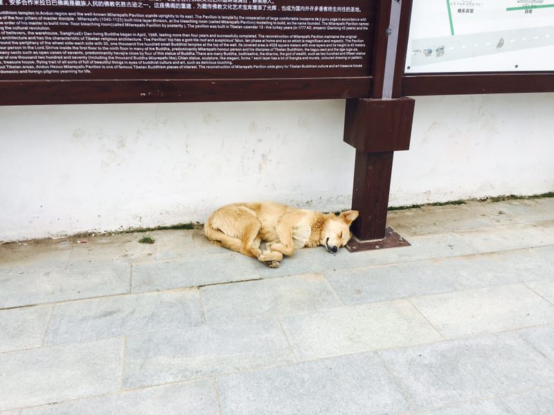 微信图片_20170613105505.jpg
