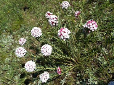 1500704108686004.png 图片11.png