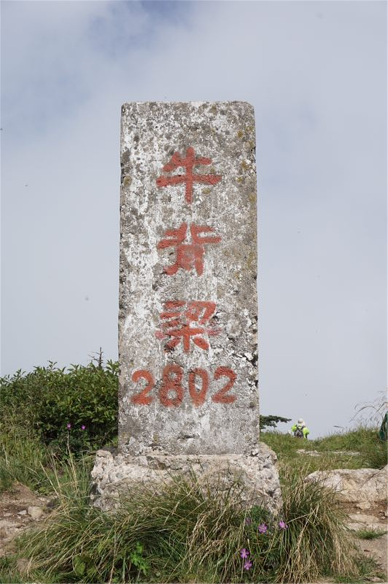 1502362460673029.jpg