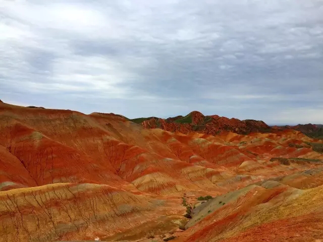 1502516565763554.jpg 18.webp.jpg