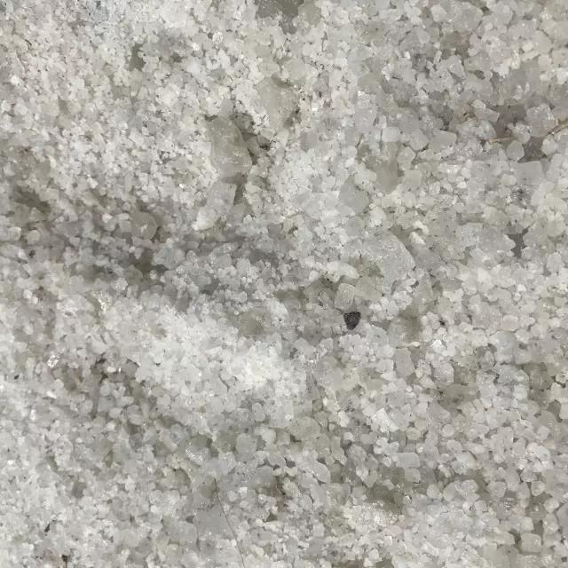 1502681709904442.jpg