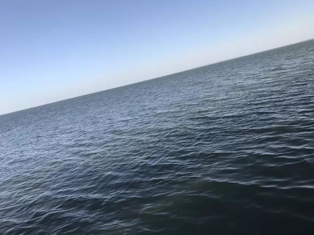 1502681841415759.jpg 30.jpg