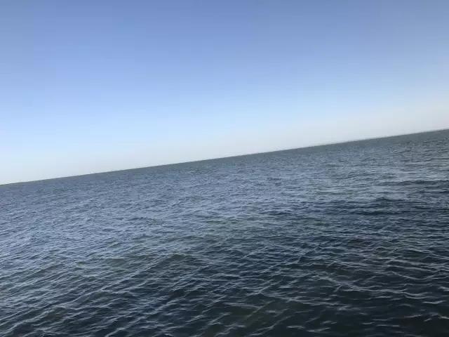 1502681905281522.jpg 31.jpg
