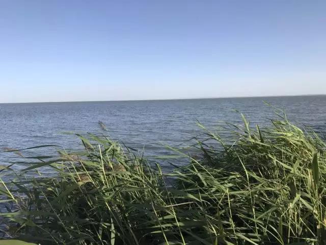 1502681974829751.jpg 33.jpg
