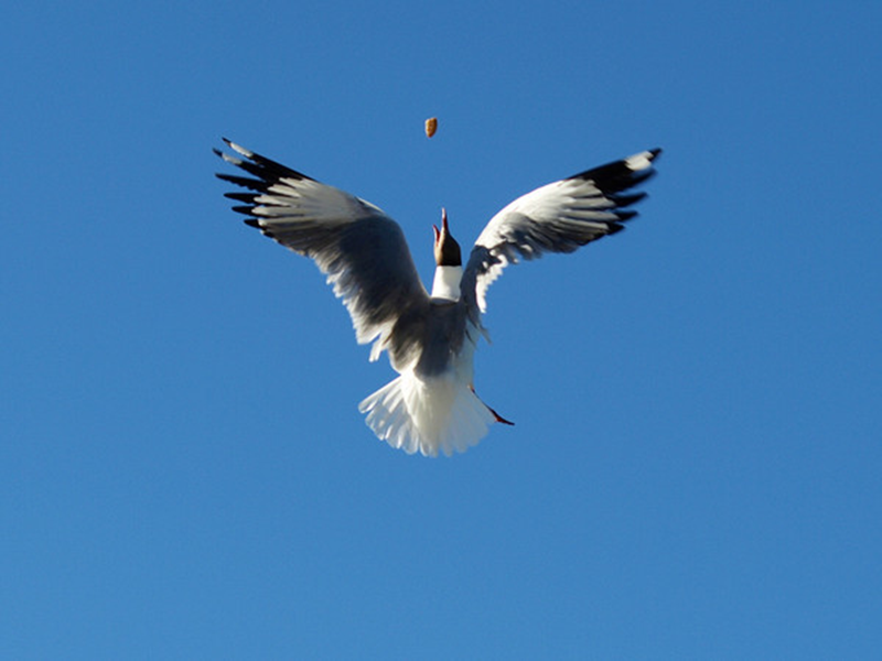 1536233861782437.png 图片6.png