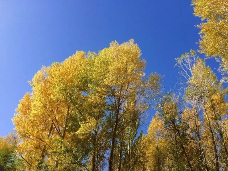 1536233968497755.png 图片10.png