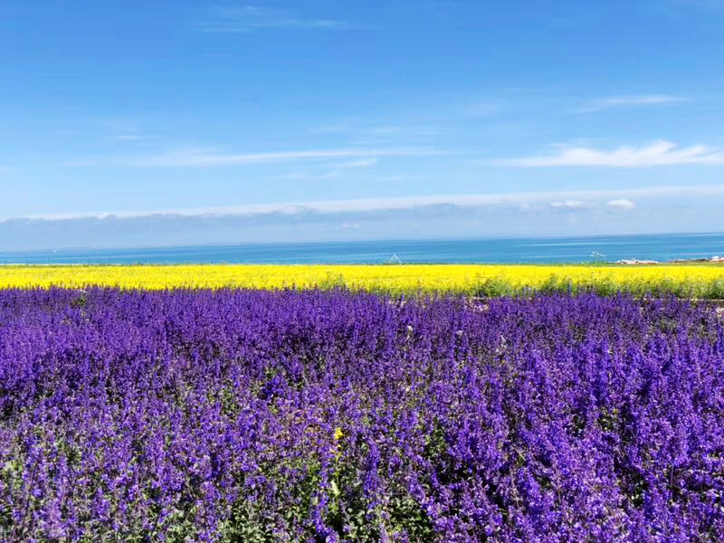 1536546841585648.png 图片21.png