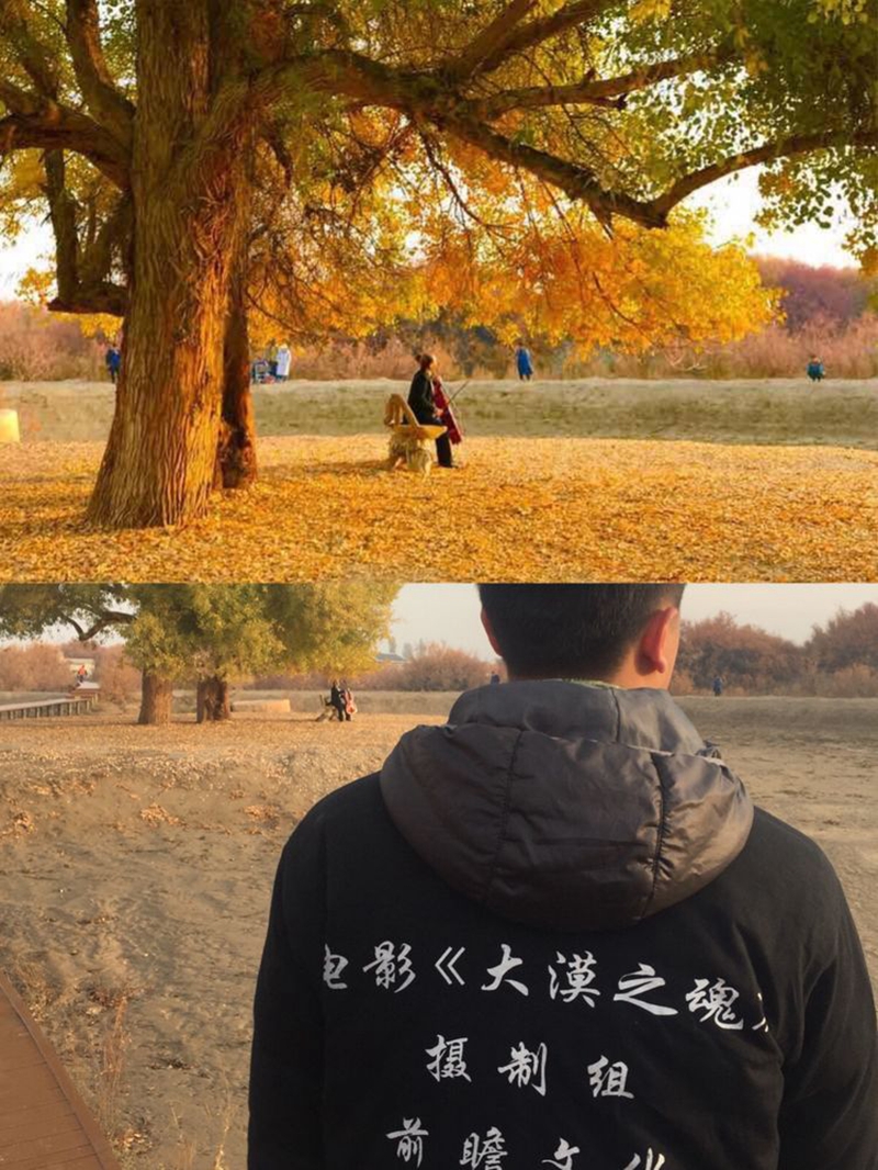盛世金秋 (63).jpg