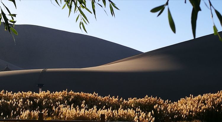 大西北美吗 (11).jpg