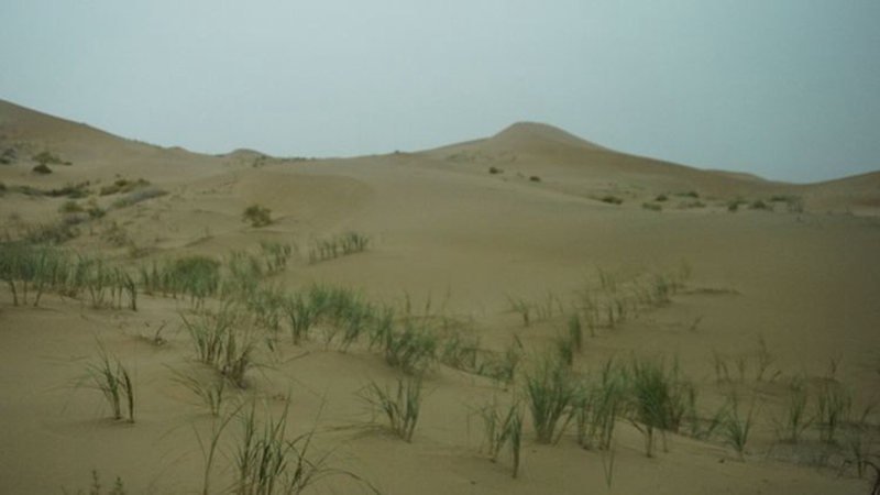 西北之旅 (97).jpg