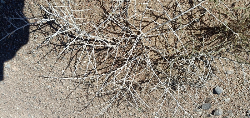 1539155658716780.jpg 03.jpg